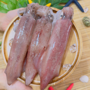 Mực ống nguyên con Newinfood