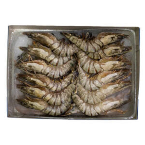 Sản phẩm nội địa