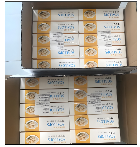 Còi Sò Điệp Nhật Newinfood